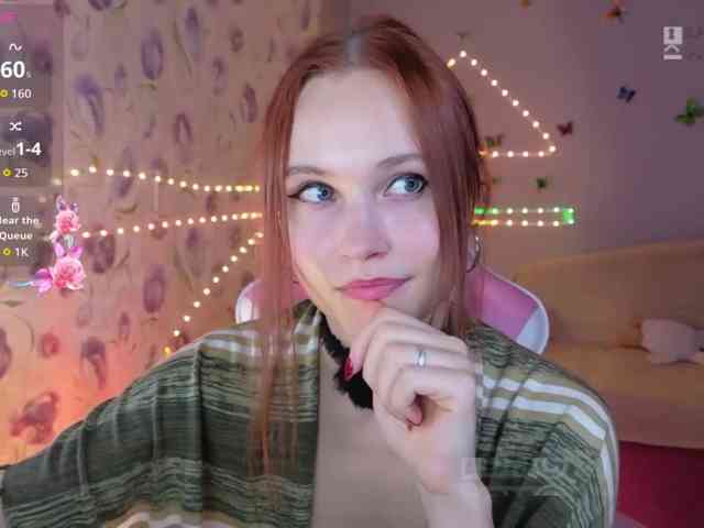Armura webcam