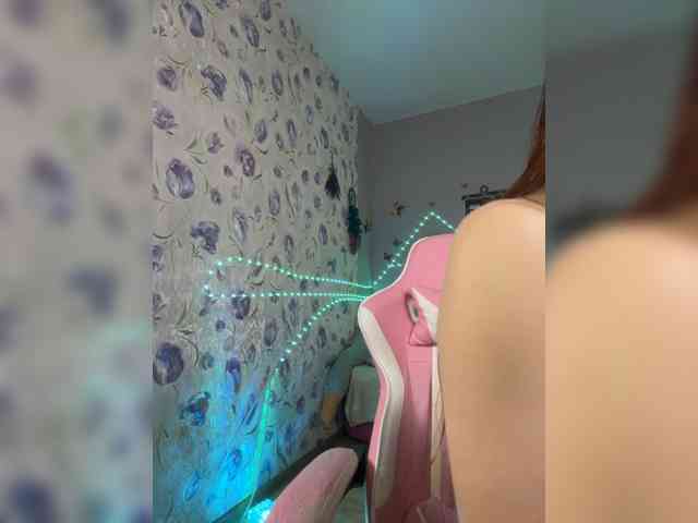 Armura webcam