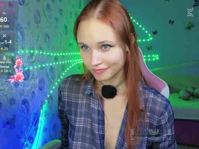 Armura webcam