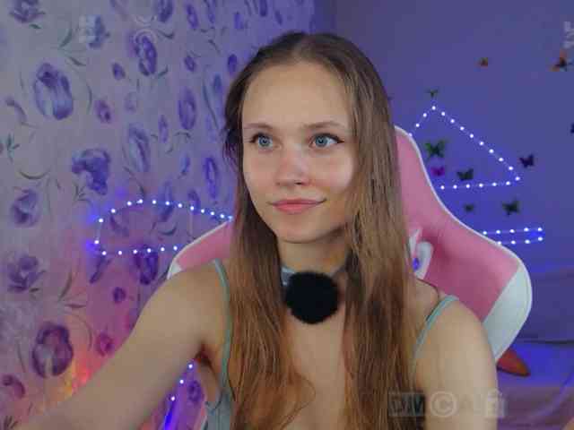 Armura webcam