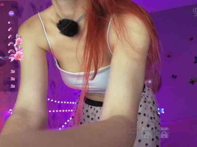 Armura webcam
