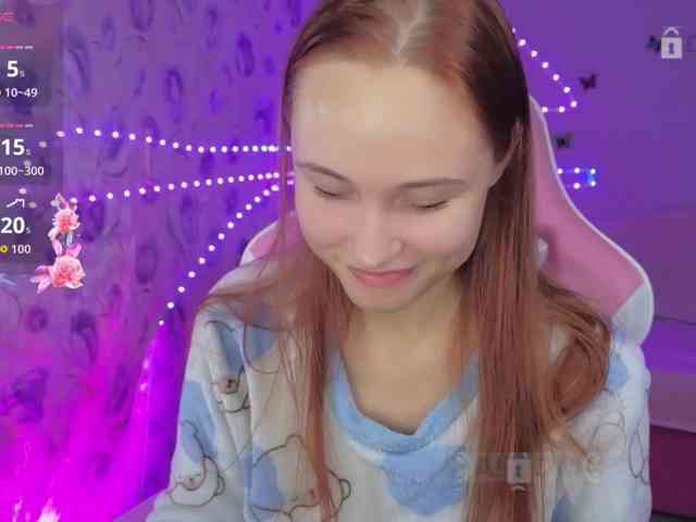 Armura webcam
