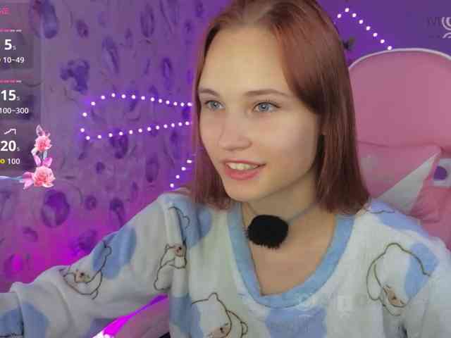 Armura webcam