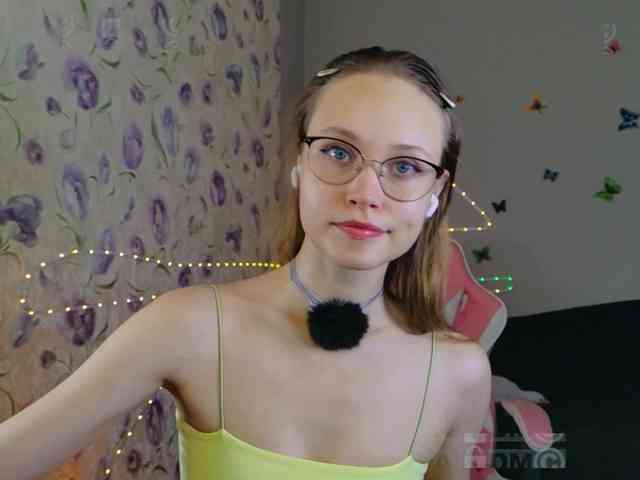 Armura webcam