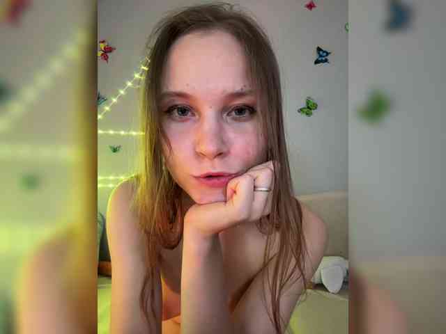 Armura webcam