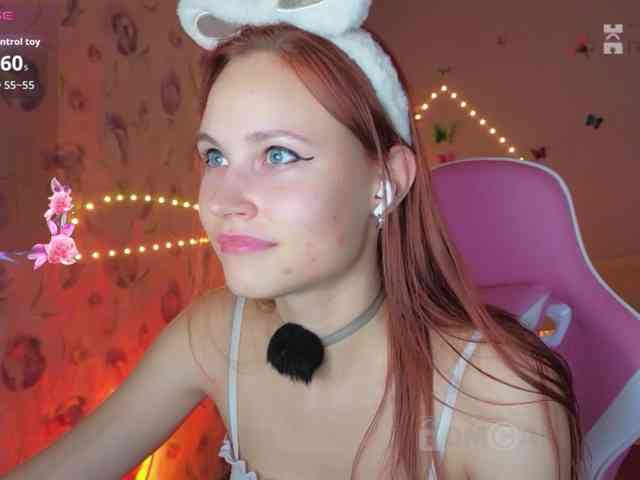 Armura webcam