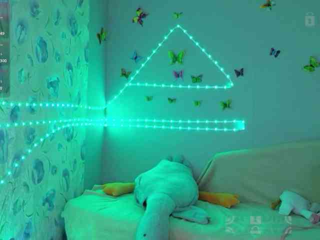 Armura webcam