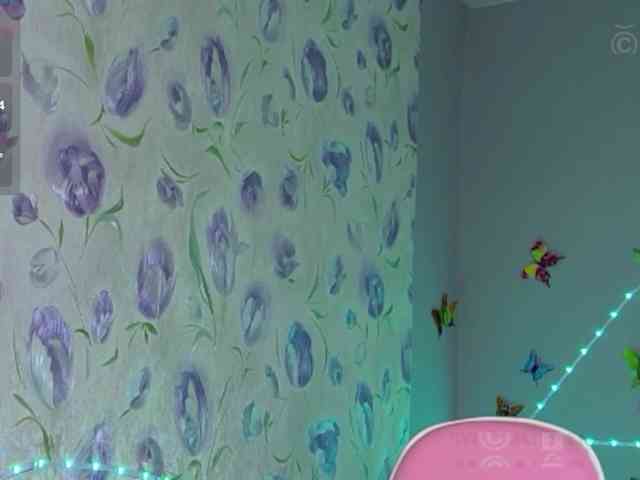 Armura webcam