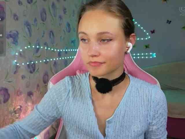 Armura webcam