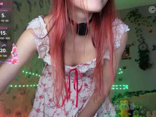 Armura webcam