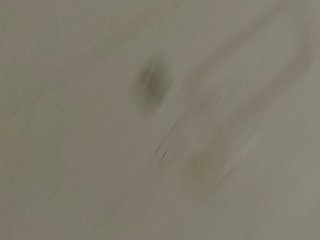 OkSex666 Porn Show