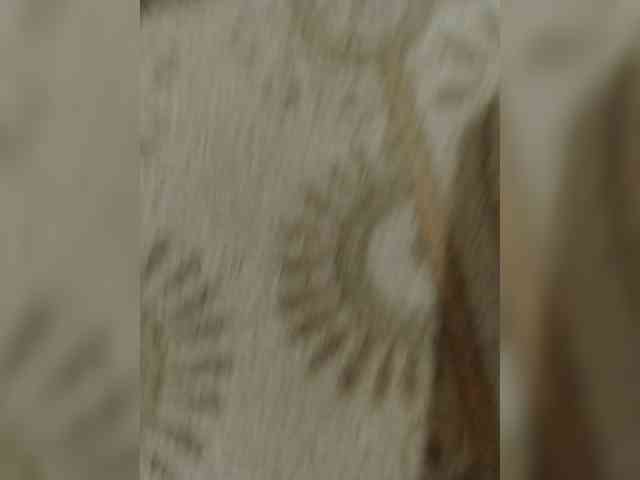 OkSex666 webcam