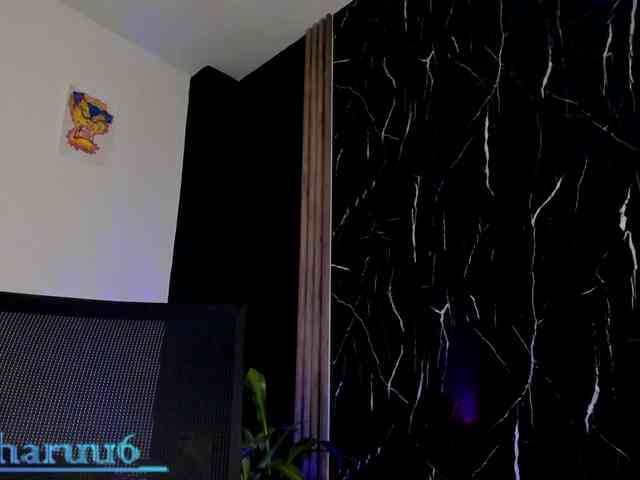 Haru-tay webcam