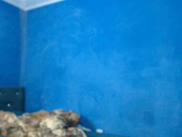 alexblu91