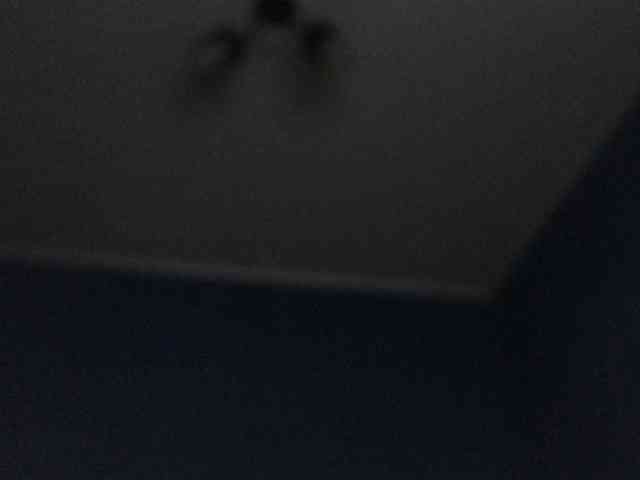 alexblu91 Live Webcam on BongaCams