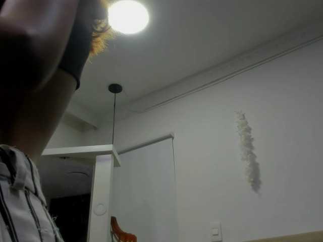 ferenanda-ss live cam on BongaCams
