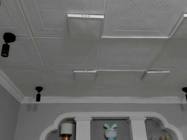 ferenanda-ss live cam on BongaCams