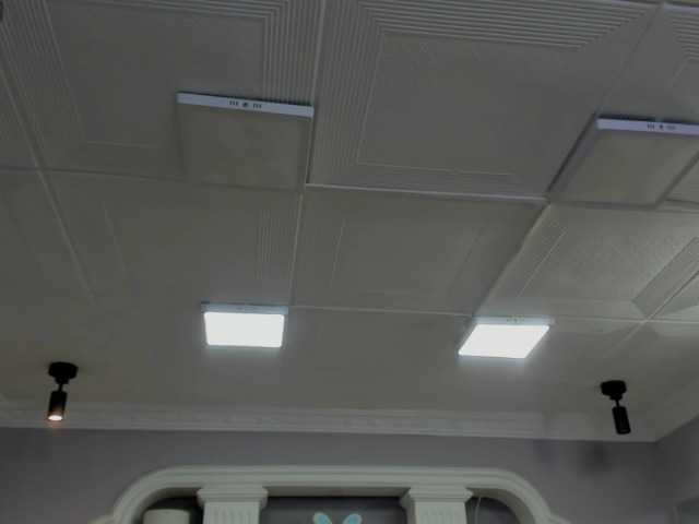 ferenanda-ss