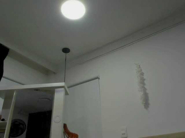 ferenanda-ss