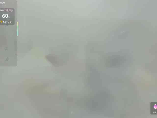 ferenanda-ss webcam
