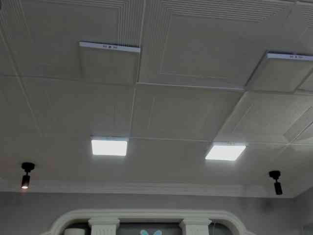 ferenanda-ss webcam