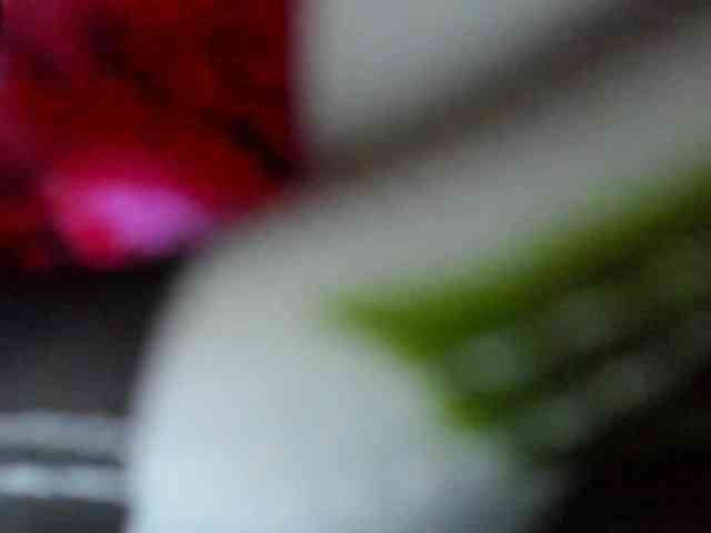 ferenanda-ss webcam