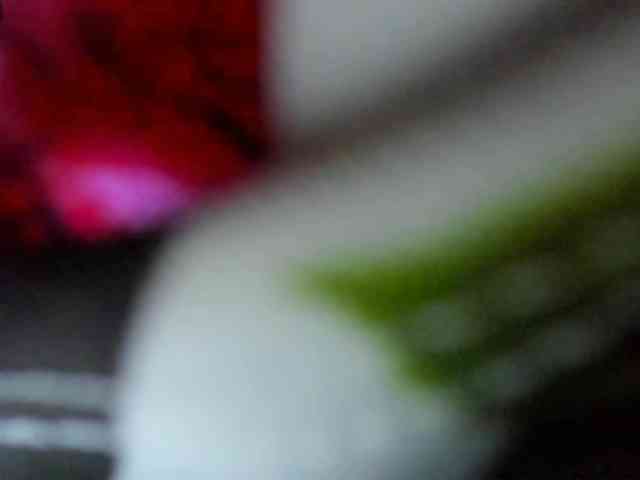 ferenanda-ss webcam