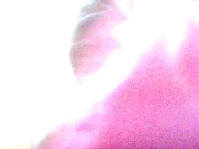 Sexybigass3 webcam