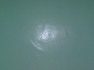sexxynila's Live Webcam