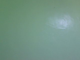 sexxynila's Live Webcam