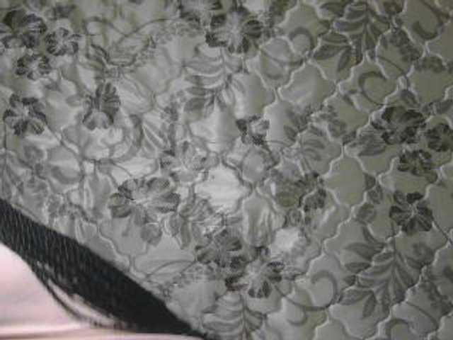 sexxynila