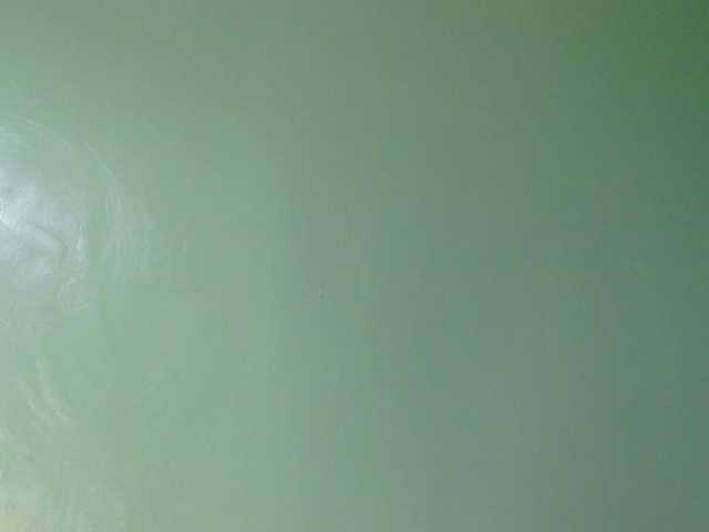 sexxynila live cam on BongaCams