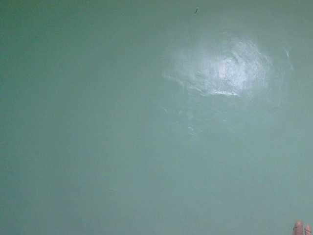 sexxynila live cam preview