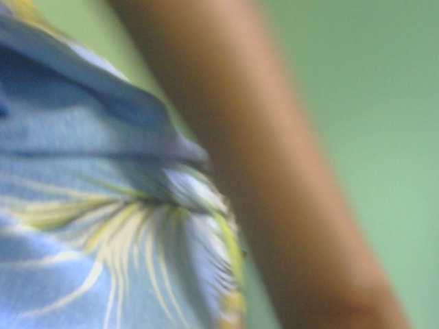 sexxynila live cam on BongaCams