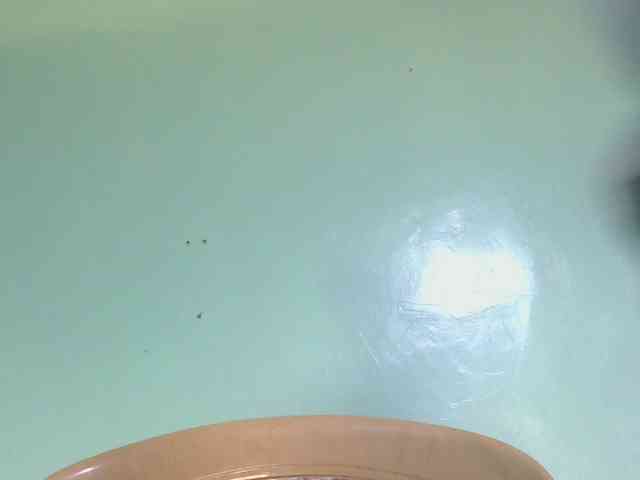 sexxynila Live Webcam on BongaCams