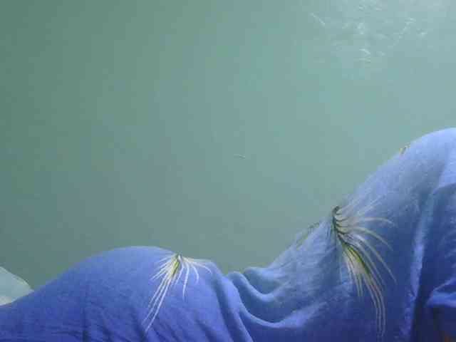 sexxynila webcam