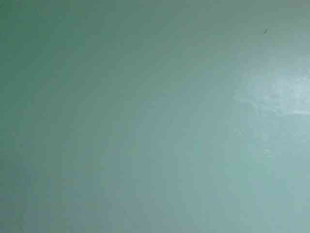sexxynila webcam
