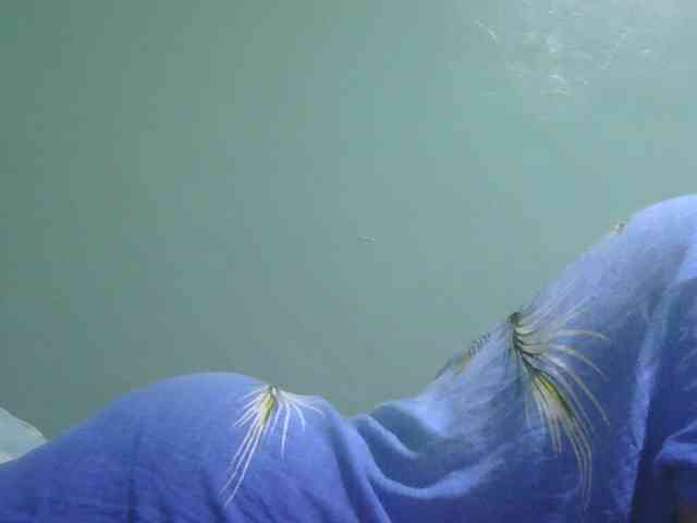 sexxynila webcam