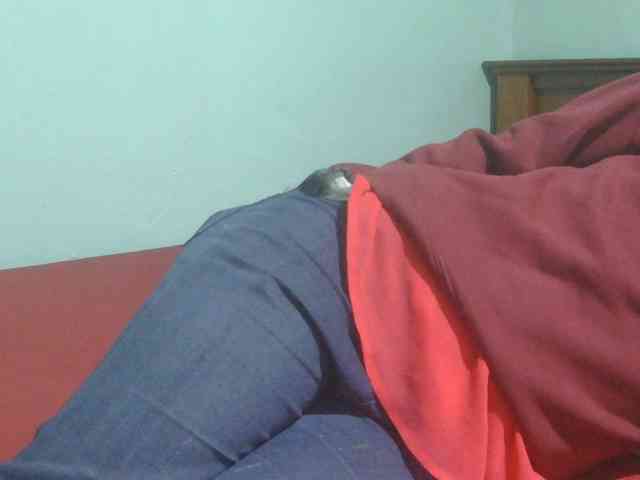 sexxynila webcam