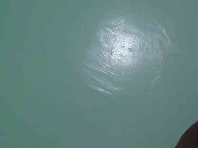sexxynila webcam