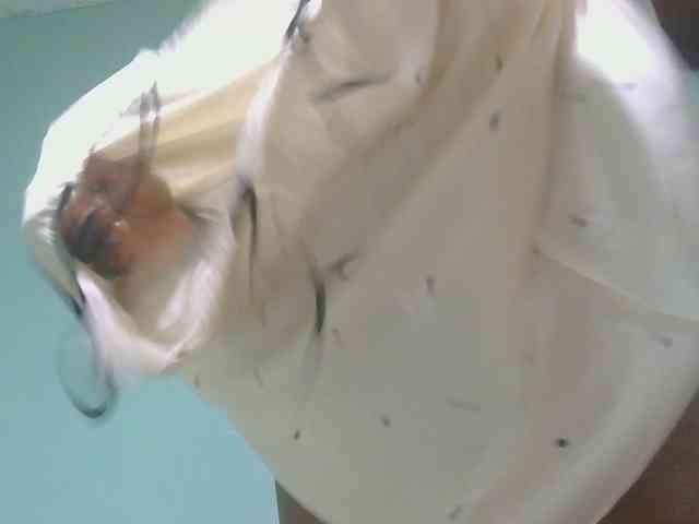sexxynila webcam