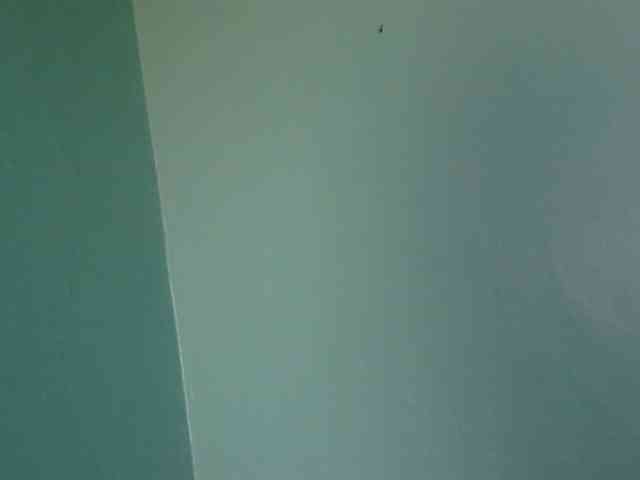 sexxynila Live Webcam on BongaCams