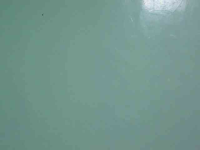 sexxynila webcam