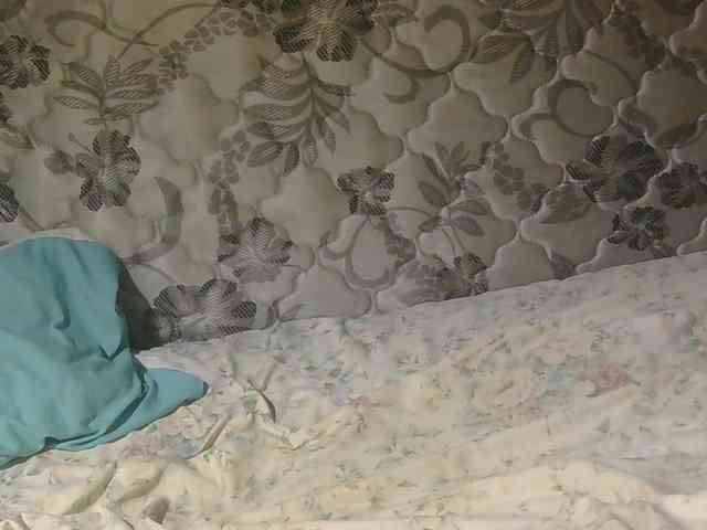 sexxynila webcam