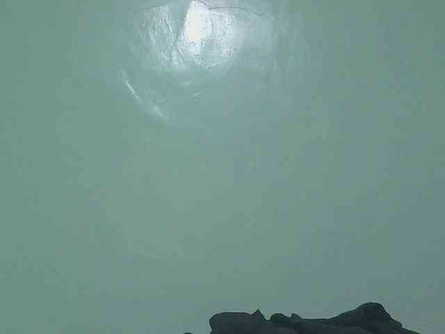 sexxynila webcam