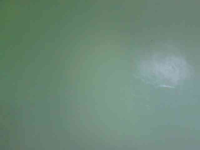 sexxynila webcam