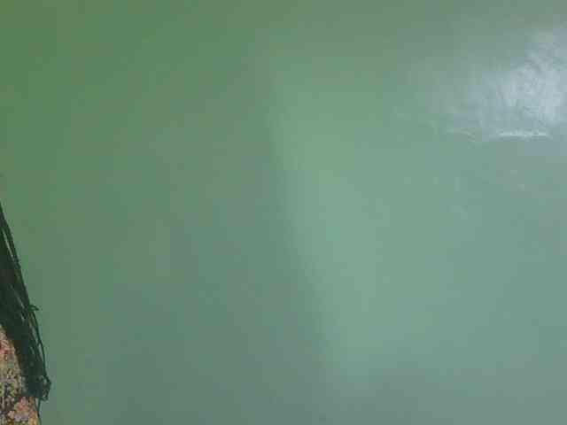 sexxynila webcam