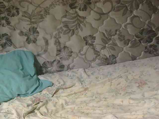 sexxynila webcam