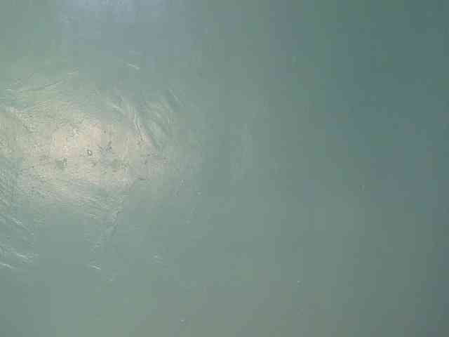 sexxynila webcam