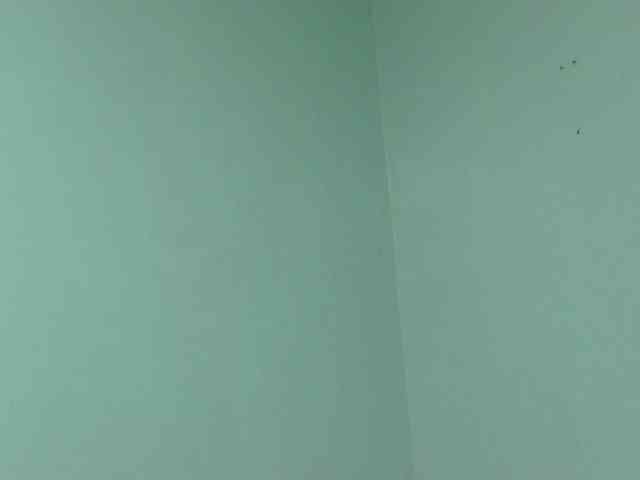 sexxynila webcam